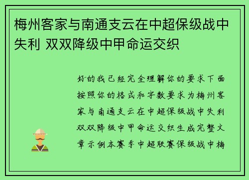 梅州客家与南通支云在中超保级战中失利 双双降级中甲命运交织 梅州客家与南通支云在中超保级战中失利 双双降级中甲命运交织